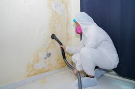 Best Forensic Mold Investigation  in Buchanan, NY